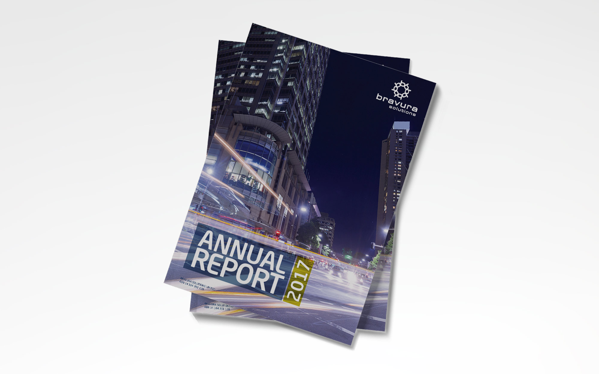 BVS 2017 - Annual Report